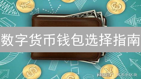 数字货币钱包选择指南：安全性、功能性对比与案例分析