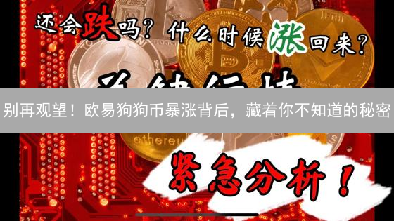 别再观望！欧易狗狗币暴涨背后，藏着你不知道的秘密？