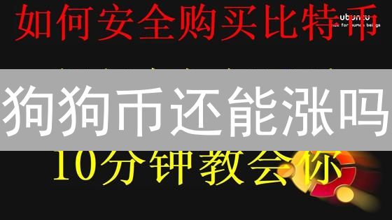 狗狗币还能涨吗？2024年法币充值最新攻略！