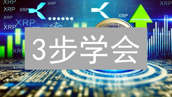 3步学会：在Bitstamp安全购买并存储瑞波币XRP (2024)