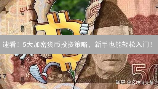 速看！5大加密货币投资策略，新手也能轻松入门！