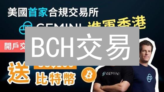 BCH交易：Gemini上稳赚不赔的风险控制技巧？颠覆认知！