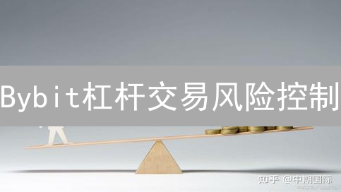 Bybit杠杆交易风险控制：专家解读最新策略，安全盈利！