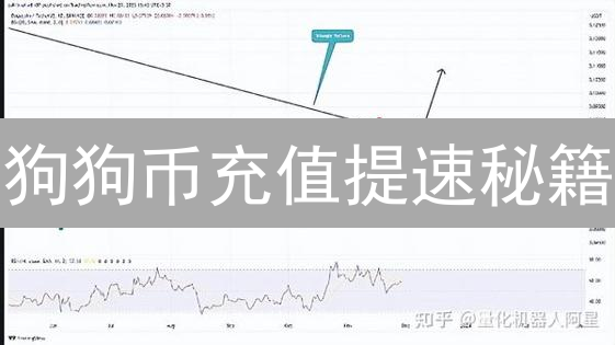 狗狗币充值提速秘籍：欧意到Coinbase，多久到账？