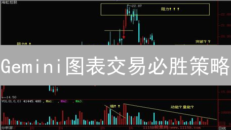 Gemini图表交易必胜策略：权威分析助您精准决策！