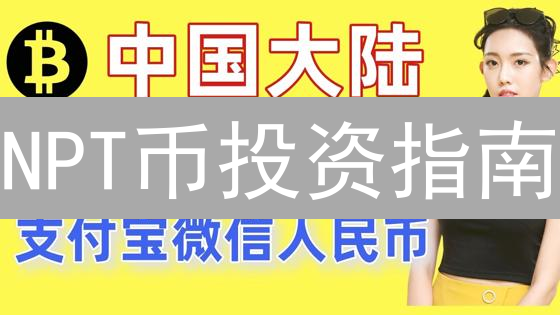NPT币投资指南：3 个购买渠道与 5 个风险警示！