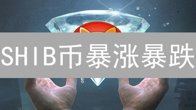 SHIB币暴涨暴跌？币安Bitfinex交易所如何风险控制？