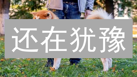 还在犹豫？Shiba Inu(SHIB) 购买指南：新手避坑 & 潜力分析！