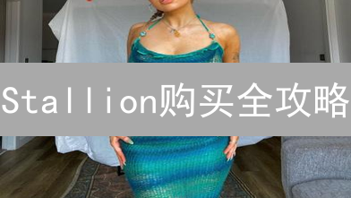 Stallion购买全攻略：3大渠道对比，新手也能轻松上手！