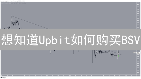 想知道Upbit如何购买BSV？看完这篇就够了！
